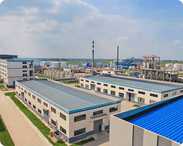 KIQI International Limited Company